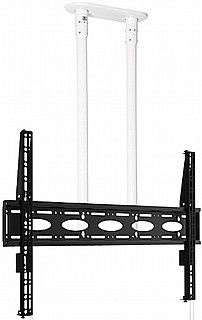 מתקן תלייה תקרתי באורך 1 מטר למסכים עד 120" B-TECH BT8448 – תמונה 5