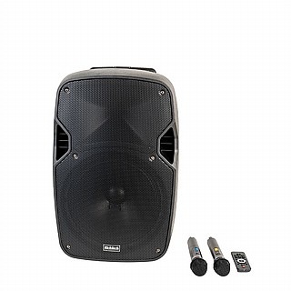 בידורית מקצועית-רמקול מוגבר נטען 15 אינטש RichTech STUDIO 15 כולל 2 מיקרופונים – תמונה 2