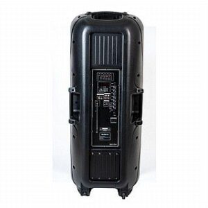 בידורית-רמקול מוגבר נייד 15 אינטש RichTech STUDIO 215 כולל 2 מיקרופונים