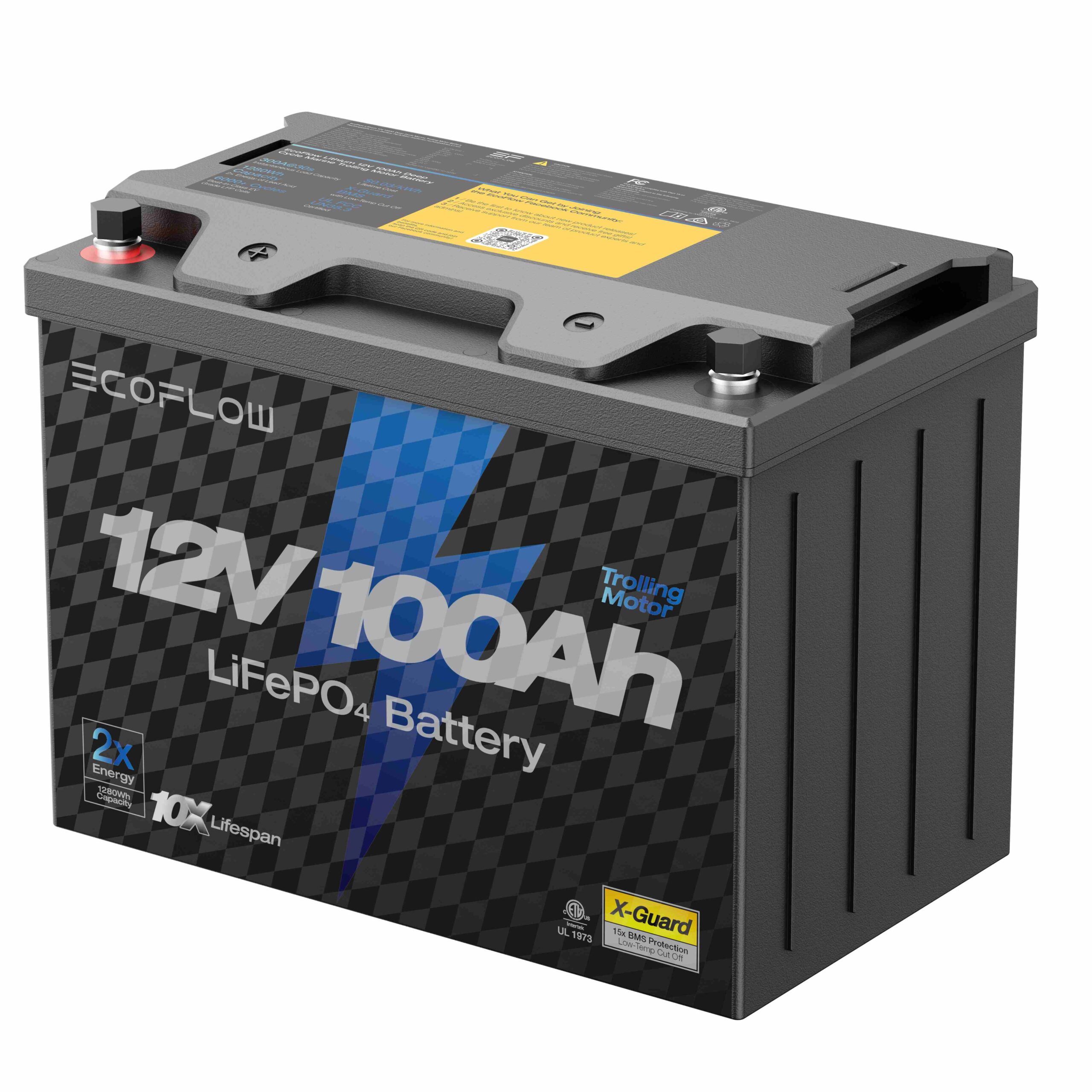 מצבר ליתיום ECOFLOW LIFEPO4 12V 100Ah - יבואן רשמי – תמונה 2