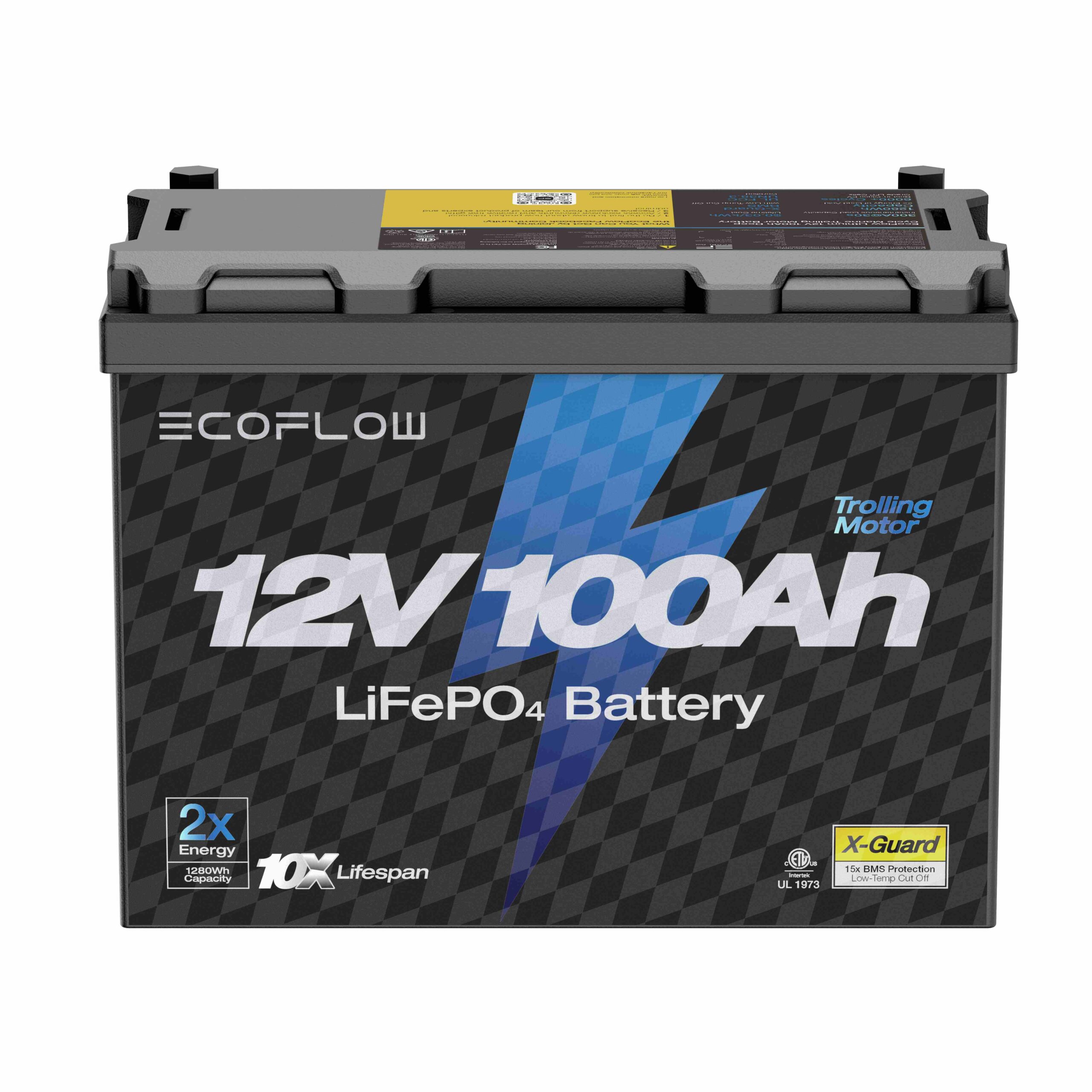 מצבר ליתיום ECOFLOW LIFEPO4 12V 100Ah - יבואן רשמי – תמונה 4