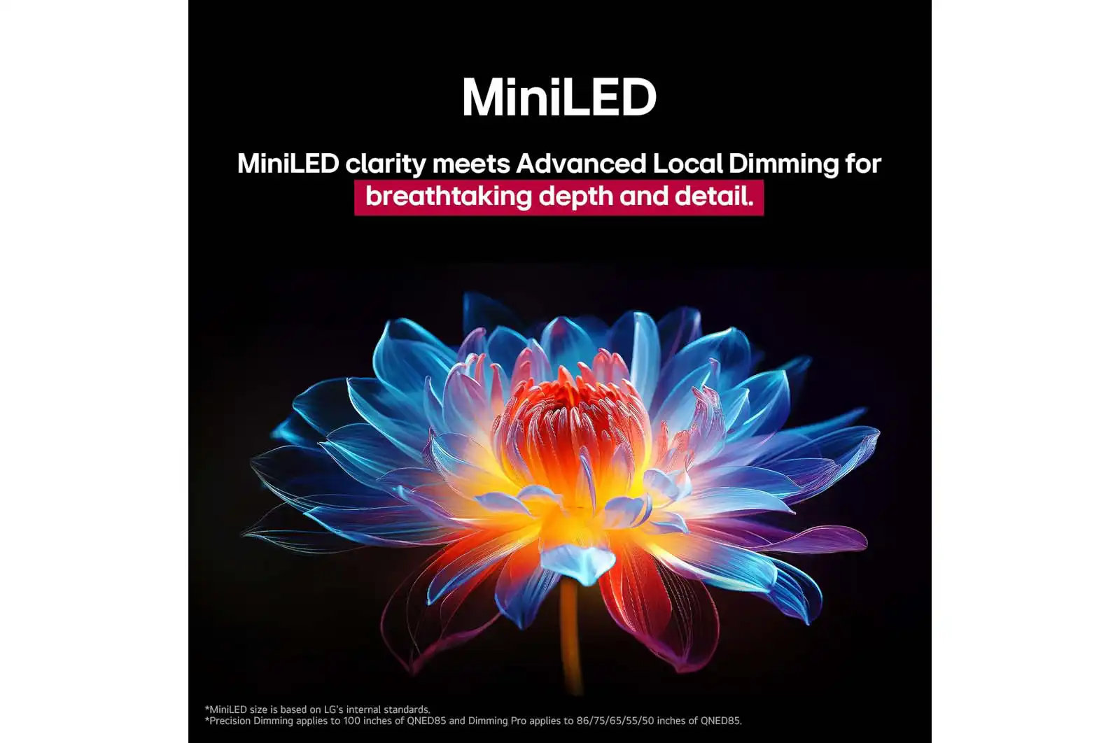 LG 100QNED86A6 – טלוויזיה חכמה 100 אינץ' QNED evo AI MiniLED 4K 120Hz | יבואן רשמי – תמונה 8