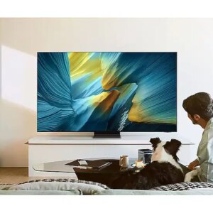 Samsung QE55S95F - טלוויזיה חכמה 55 אינץ' OLED 4K S95F | יבואן רשמי סמסונג ישראל