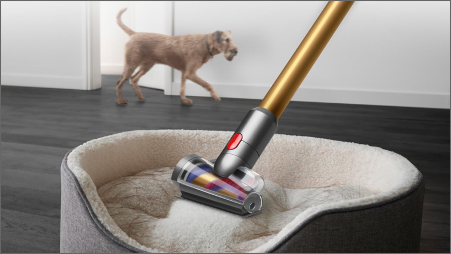 שדרוג לחווית ניקיון מתקדמת עם שואב האבק Dyson דגם V15 Detect Absolute. טכנולוגיה מתקדמת, סינון HEPA, עוצמת שאיבה חזקה ותכונות חדשניות לבית נקי ומטופח שדרוג לחווית ניקיון מתקדמת עם שואב האבק Dyson דגם V15 Detect Absolute. טכנולוגיה מתקדמת, סינון HEPA, עוצמת שאיבה חזקה ותכונות חדשניות לבית נקי ומטופח