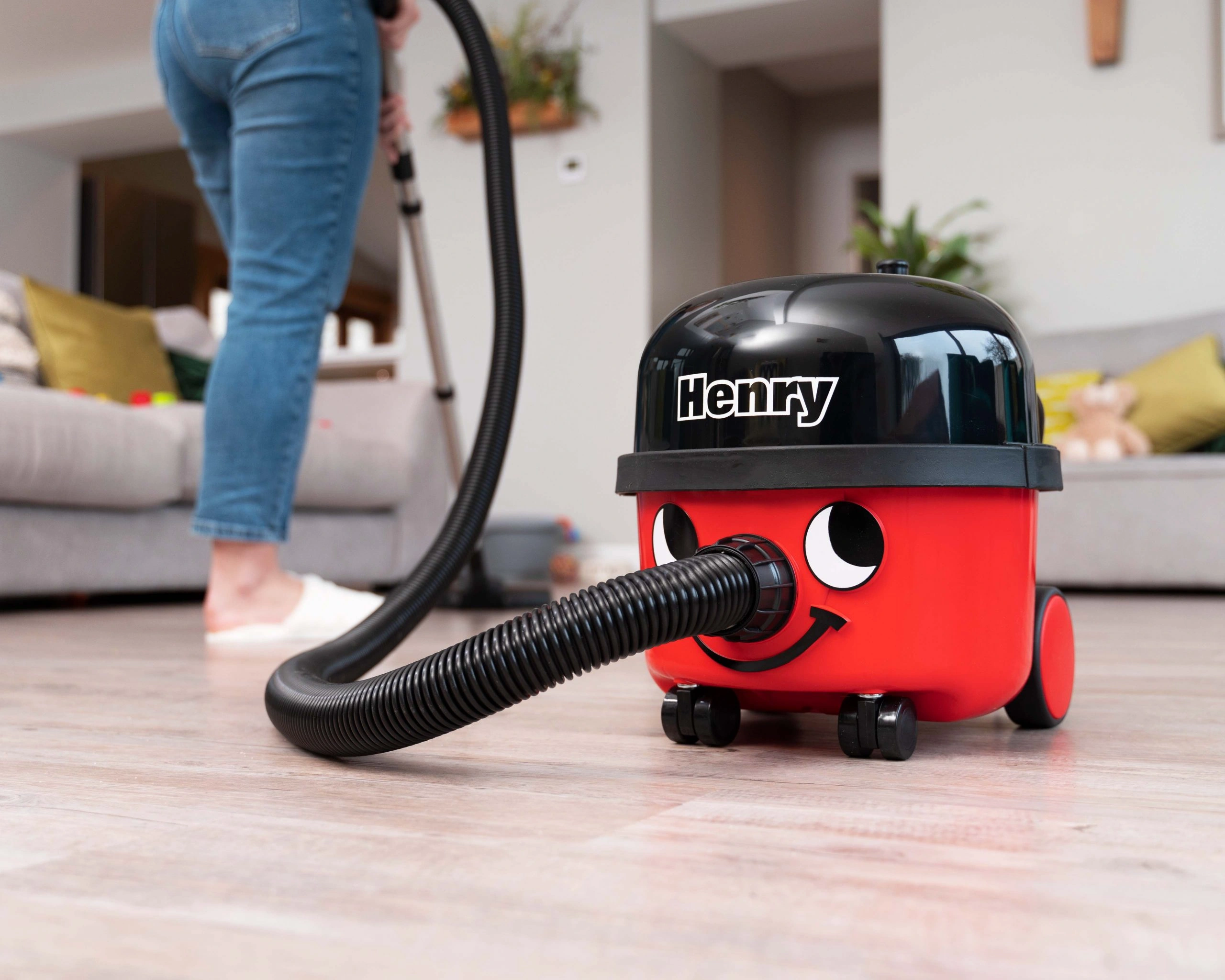 Henry - שואב אבק רב-תכליתי 6 ליטר עם כבל 10 מ׳ | יבואן רשמי – תמונה 7