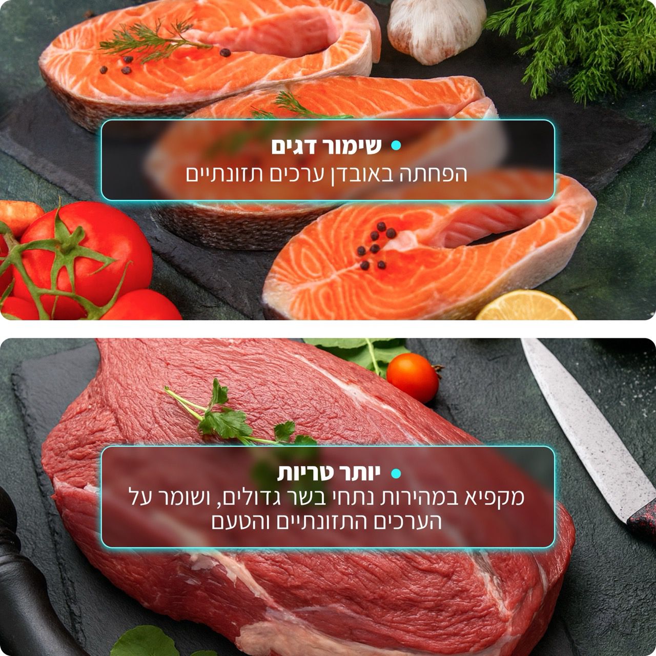 CHIQ MC-2353SL - מקרר 2 דלתות מקפיא עליון 348 ליטר בצבע נירוסטה | יבואן רשמי – תמונה 6