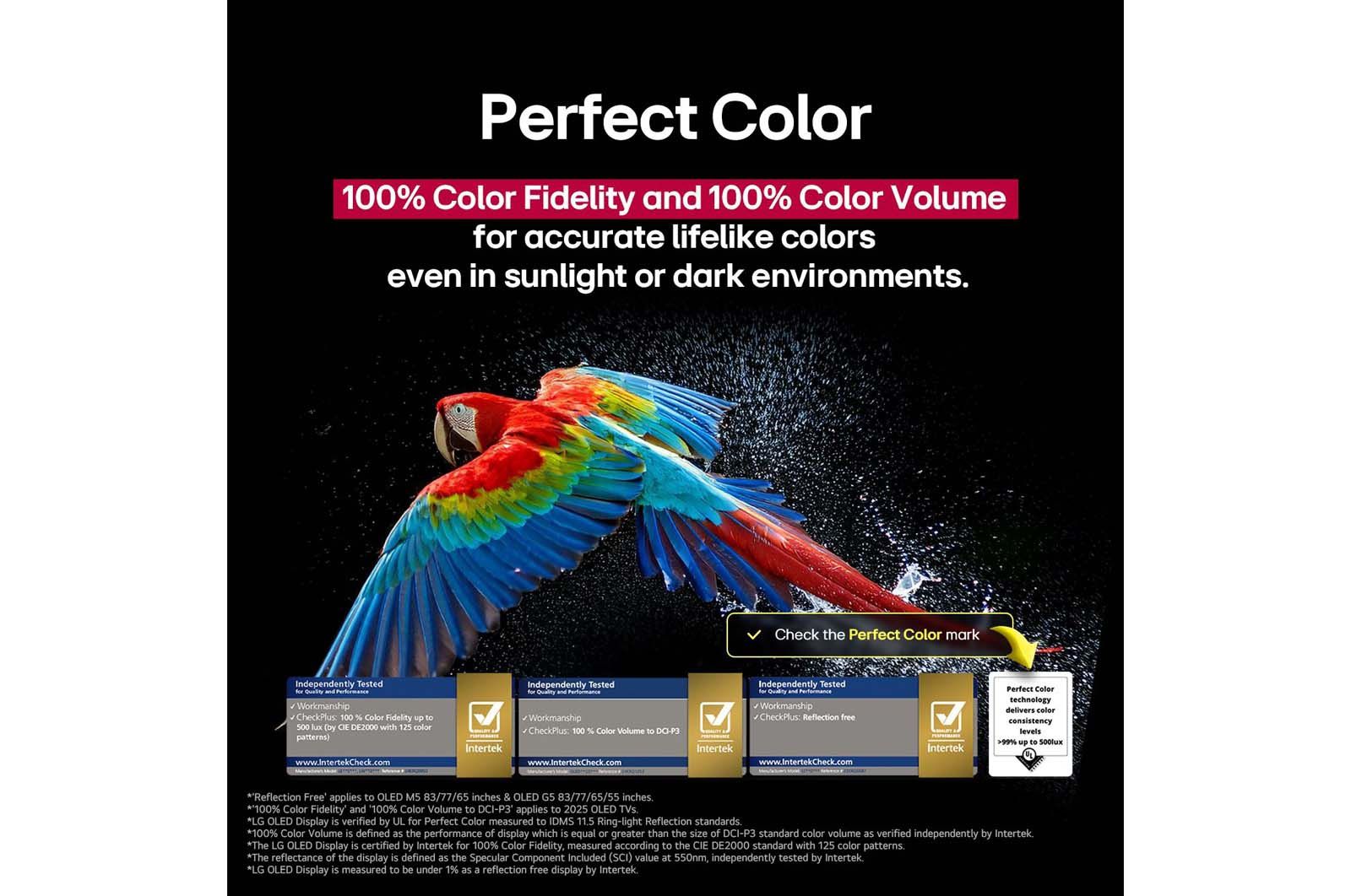 LG OLED83G56LA – טלוויזיה חכמה 83" OLED evo AI G5 4K 165Hz עם webOS 25 ושלט AI Magic | יבואן רשמי – תמונה 7
