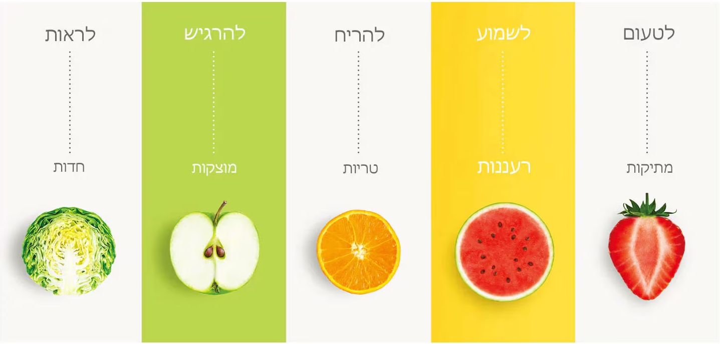הנאה ממזון טרי, וחוויות אוכל עשירה.
