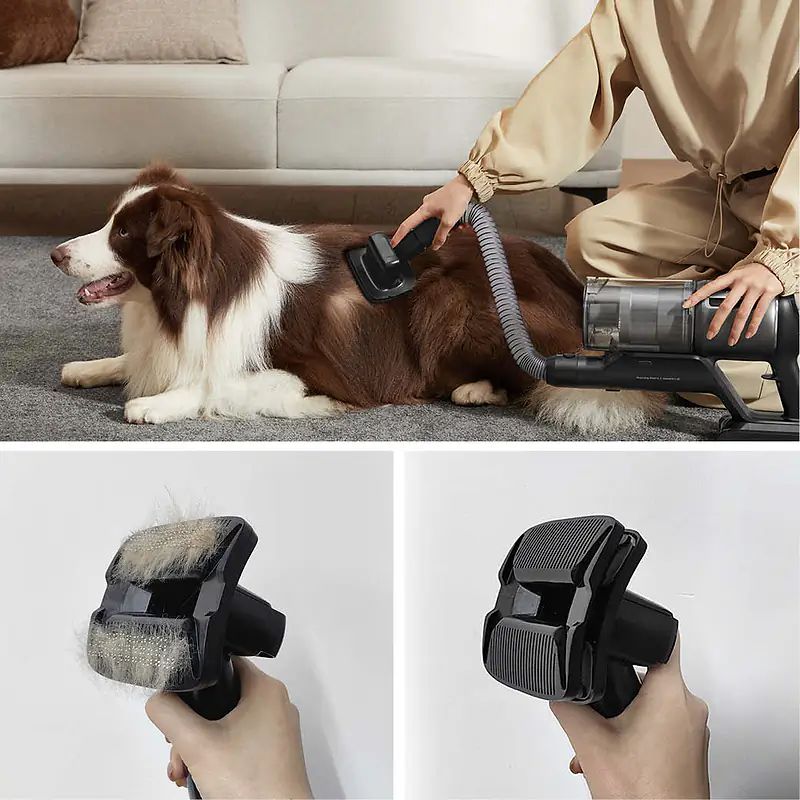 Dreame Pet Care