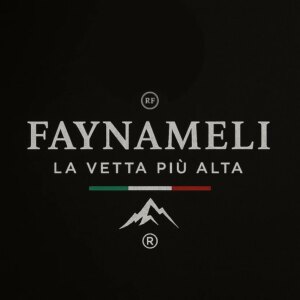 FAYNAMELI RF-45PICE - מכונת קרח תעשייתית 45 ק״ג עם חיבור ישיר למים | יבואן רשמי