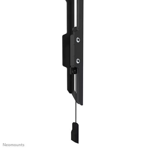 Neomounts WL30-550BL18 - מתקן תלייה צמוד קיר אולטרה שטוח למסכים 43-86 אינץ' | יבואן רשמי – תמונה 3